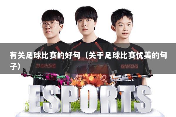 有关足球比赛的好句（关于足球比赛优美的句子）