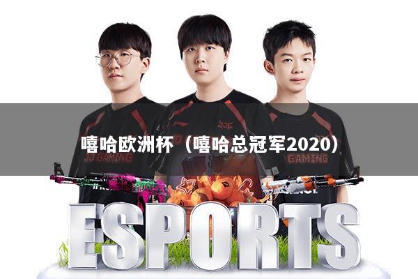 嘻哈欧洲杯（嘻哈总冠军2020）